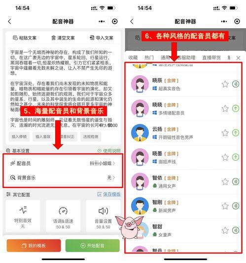 娱乐吃瓜视频的配音软件