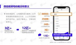 狗熊皮肤爆料视频下载安装,揭秘游戏新内容与玩法