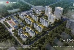 肥西楼市最新爆料新闻,最新爆料揭示房价走势与热门项目盘点