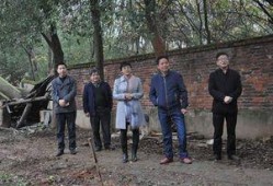 河北唐县新爆料最新消息,揭秘神秘事件背后的真相