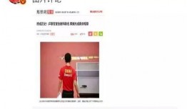 娱乐圈爆料400页内容,明星幕后真相与情感纠葛