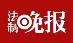 今日百家爆料新闻